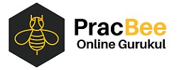 PracBee Logo